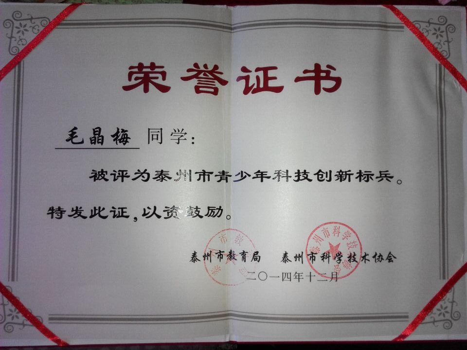 我校毛晶梅被評為泰州市青少年科技創新標兵