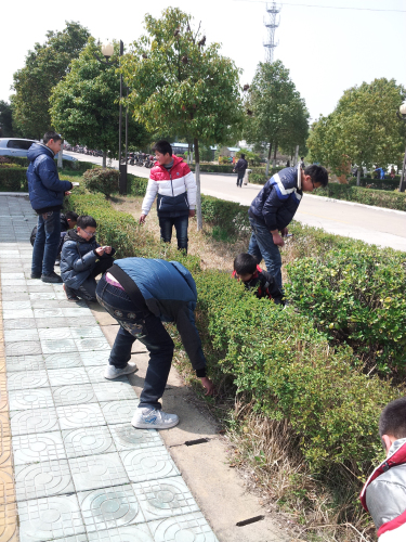 學(xué)校組織志愿者開展義務(wù)撿垃圾行動(dòng)